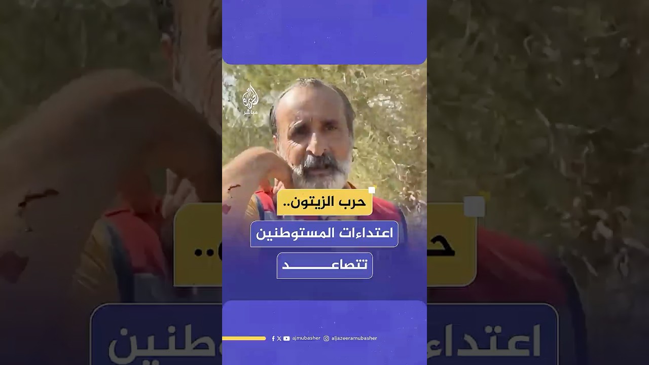 مستوطنون يعتدون على مزارعين ومتضامنين أجانب أثناء قطف الزيتون في بلدة بيتا جنوب نابلس