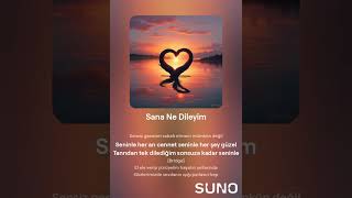 Sana Ne Dileyim 1