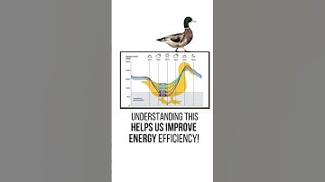 What is the Solar DUCK Curve?
