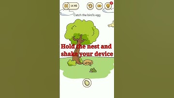 Brain Find Level 83 Catch the birds egg.
