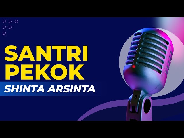 Santri Pekok - Karaoke Shinta Arsinta Versi Original class=