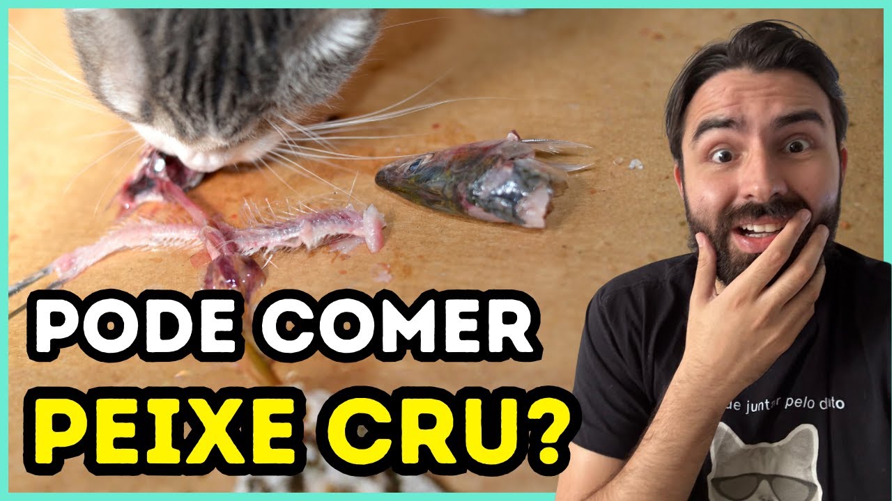 Os gatos podem comer peixe cru?