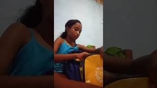 Parte 2 De Arromando O Meu Material