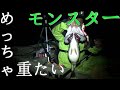 バス釣りTOPで超デカバスGET topwater bass fishing in Japan Lake Biwa