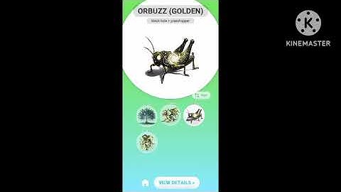 OP Animash  + Level 😁 Part -11