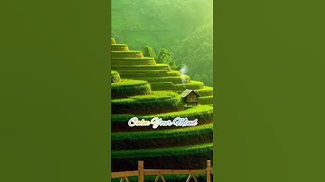 Calm Your Mind - Suling Sunda #shorts #trending #relax