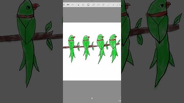 Easy parrot drawing with letter “Y”. #viral #art #drawingtutorials #drawing #parrot #artclass.