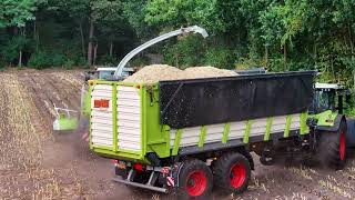 Chopping the FIRST Maize of 2026! | Claas Jaguar New Holland & JCB 🌽