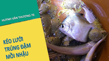 KÉO LƯỚI BIỂN ĐÊM TRÚNG ĐẬM MỒI NHẬU | pulling fishing nets