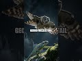 The Ghost Gecko of the Veiled Gorge