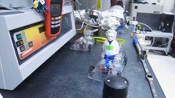 Onboard hydrogen production via Pd-Au membrane reactor