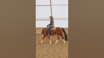 LEARN YOUR SPIN! #shorts