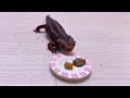 イモリの前に好きなエサと嫌いなエサを置くとこうなります