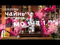 Секреты чайных мастеров. Мастера Мойчай.ру о чае и его месте в жизни.