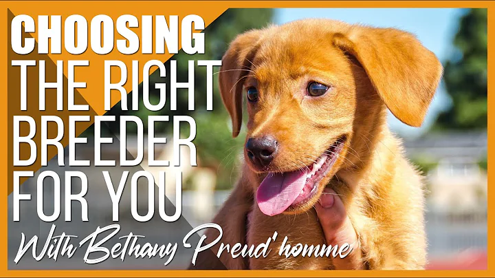 How to Find and Choose the Right Breeder for You. With Bethany Preud'homme.
