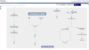 Welcome to Pathway Tools