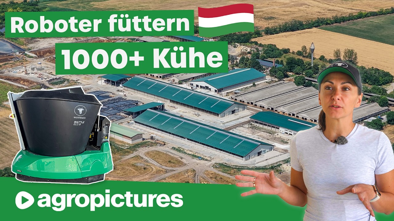 XXL Milchviehbetrieb in Ungarn 🐄🇭🇺 1000+ Kühe automatisch füttern mit Wasserbauer Fütterungsroboter