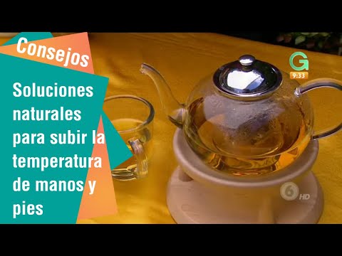 Video: Cómo aumentar la temperatura corporal: 11 pasos (con imágenes)