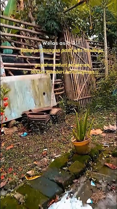 story' wa kesucian ati#story wa 30 detik# Difarina indra#