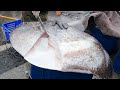 Amazing  sunfish cutting skills  / Homemade cooking (Detailed video of Taiwanese sunfish cutting )