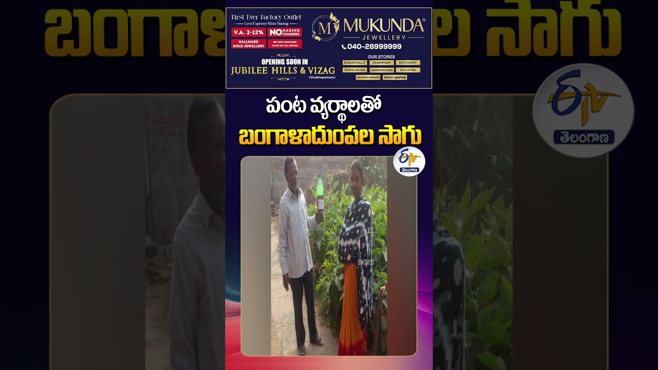 Potato Cultivation On Crop Wastes&nbsp;| Bihar