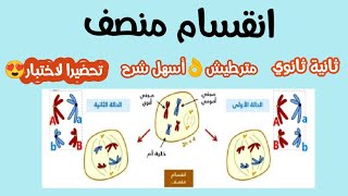 انقسام المنصف❤راح تفهم أكيد ✅تحضيرا لاختبار
