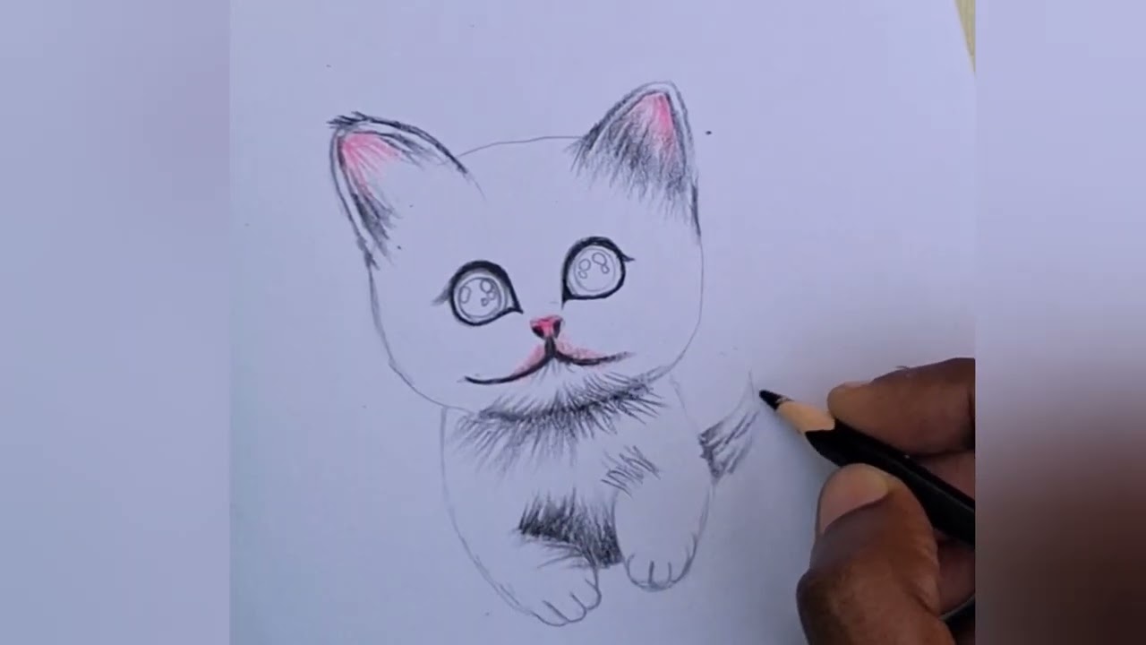 Easy ah பூனை வரயலாம் || how to draw cat || step bystep coloring | 