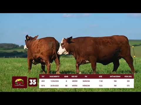 LOTE 35   CERRO VERDE 4021