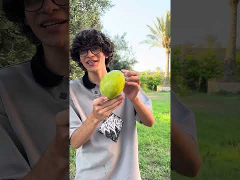 جربت قطف المانجو من عالشجر