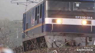 JR山陽本線 玖波~大竹 貨物 EF210ー314