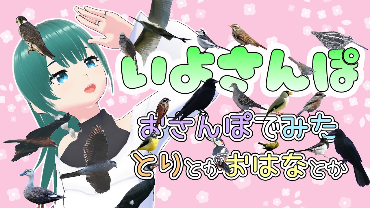 【 #いよさんぽ 】朝のお散歩で見た生き物を紹介！春だよ！猛禽がいろいろ！【 #48 】