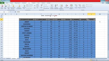 How to use Auto Filter in Excel by Saurabh Kumar (Hindi / Urdu)