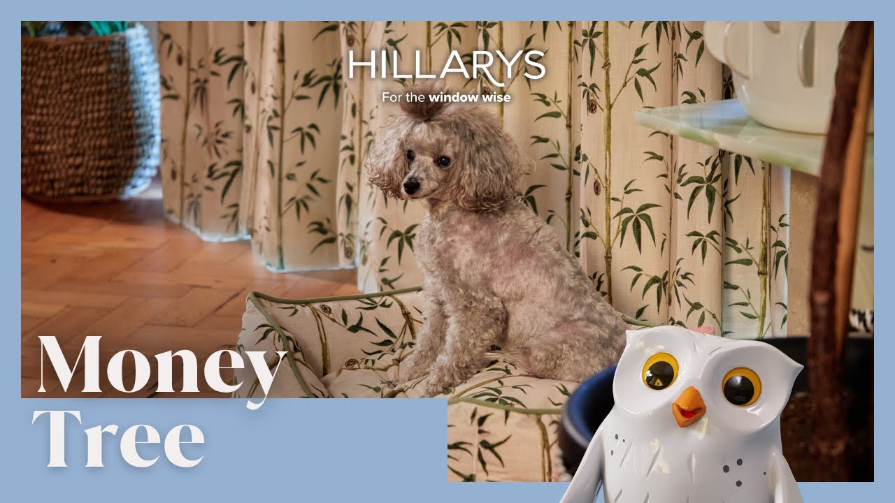 Money Tree Pattern for Blinds and Curtains | Poodle & Blonde x Hillarys