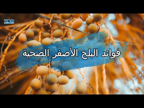 فوائد البلح الأصفر الصحية