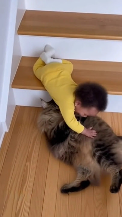 You Won’t Believe What This Cat Does When Baby Heads Toward the Stairs #usa #shortsfeed