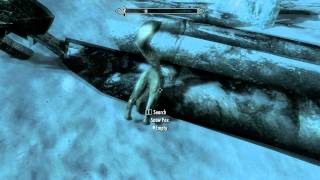 Skyrim Stuck Snow Fox