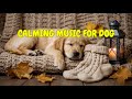 Separation Anxiety Night Sleep Aid for Dogs 🐶💤 | 12 HOURS of Comforting Music for Restful Pets