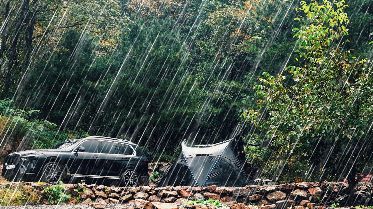 가을비☔️내리는날 비를처음 맞아보는 강아지와 우중캠핑 | 헬리녹스브이타프 | 캠핑요리 | 애견동반캠핑