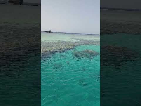 Морская прогулка на