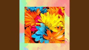 Sparkling Backdrops for A Mellow Memory