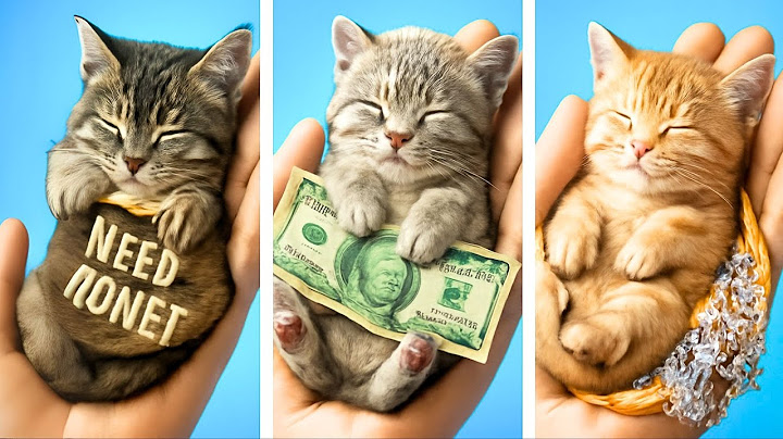 Тайный сюрприз с котенком! Узнает ли мама о бедном спрятанном котике? 🐱🎉