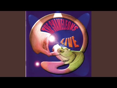 The Perfume Garden by The Chameleons video