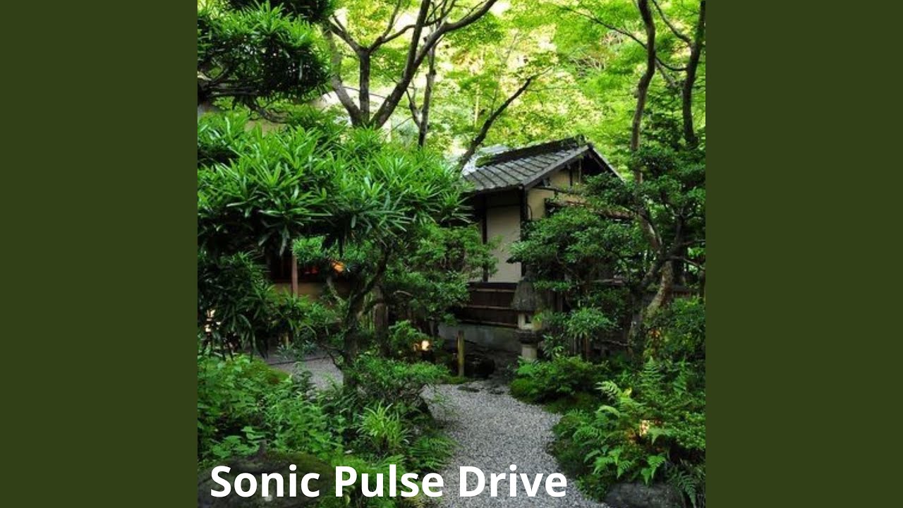 YouTube에서 Sonic Pulse Drive 보기 YouTube에서 Sonic Pulse Drive 보기