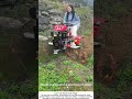 Women & Walk‑Behind Tillers – Small Machine, Big Results 🚜👩🌾