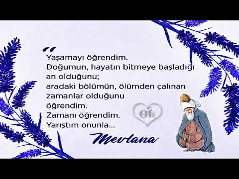 Hayattan Ne Öğrendim? (Hz. Mevlana) #mevlana