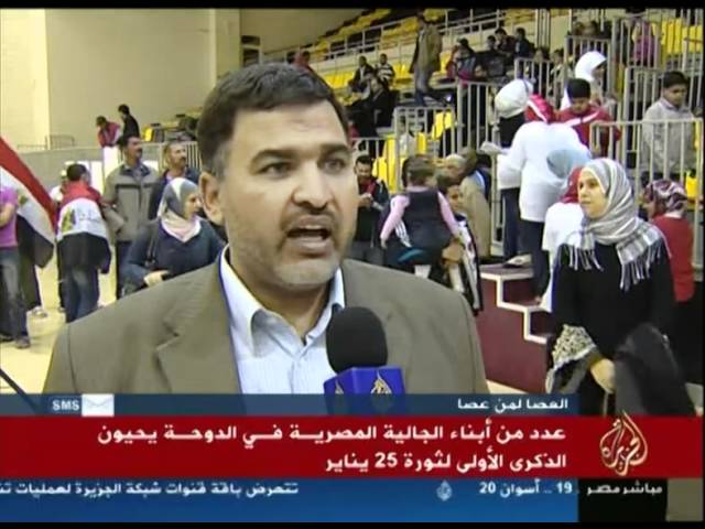 الجاليات المصرية تحيي ذكرى الثورة