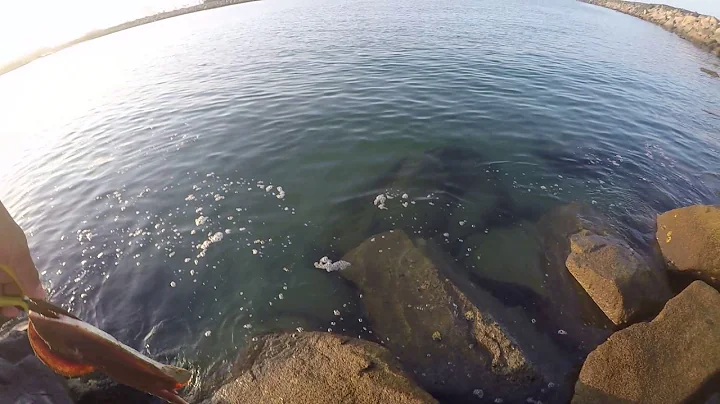 Del Mar beach camp Pendleton Jerry fishing Aug/4/1...
