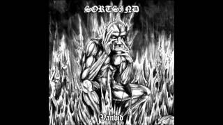 Zett's Place - Danish Black Metal Bands part 1