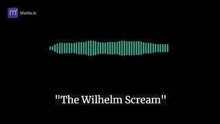 Wilhelm Scream (FULL ORIGINAL RECORDING) Resimi
