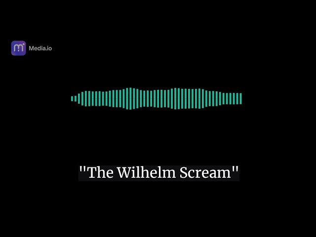 Wilhelm Scream (FULL ORIGINAL RECORDING) class=